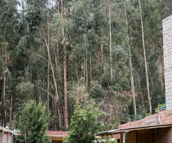 Bull House * Urubamba